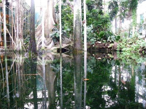 post-1255-0-79498100-1389362291_thumb.jp