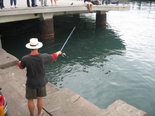 post-1286-0-01284500-1388833865_thumb.jp