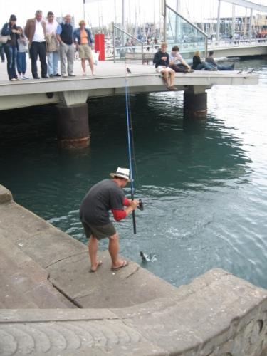 post-1286-0-72662000-1388833908_thumb.jp