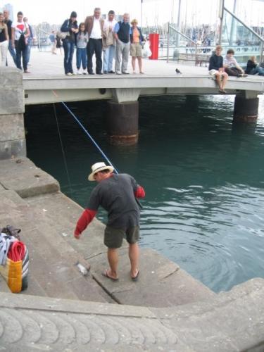 post-1286-0-95298000-1388833923_thumb.jp