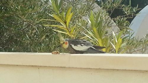 post-2353-0-75550900-1390591116_thumb.jp