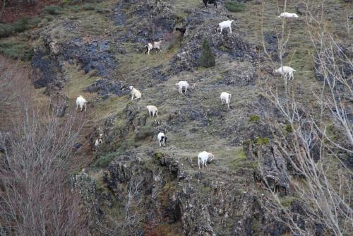 post-2385-0-63754200-1390028820_thumb.jp