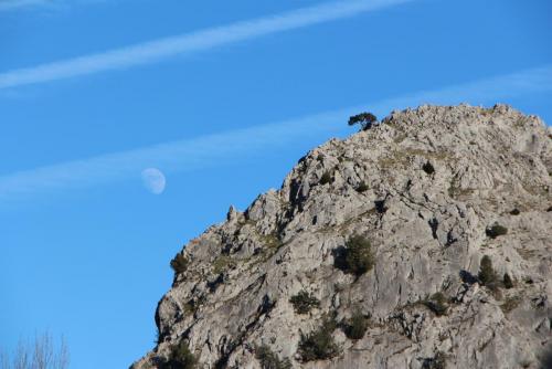 post-2385-0-92058800-1389985948_thumb.jp