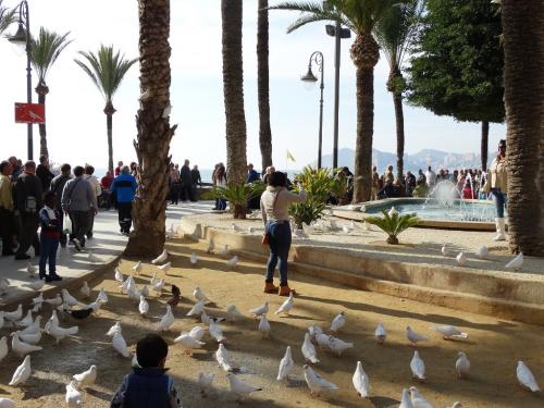 post-1217-0-34238700-1420749769_thumb.jp