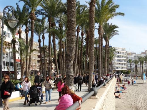 post-1217-0-60522500-1420749677_thumb.jp