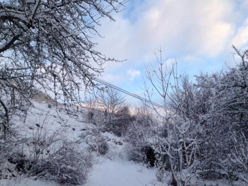 post-2385-0-19645300-1421499239_thumb.jp