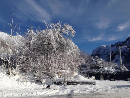 post-2385-0-23125500-1421499179_thumb.jp