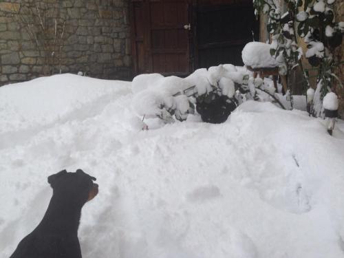 post-2385-0-48085100-1421669946_thumb.jp