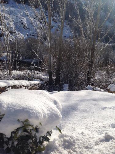 post-2385-0-60830700-1421499148_thumb.jp