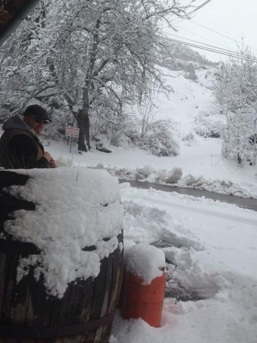 post-2385-0-66736500-1421669770_thumb.jp