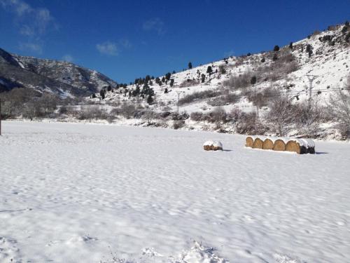 post-2385-0-68202200-1421499071_thumb.jp