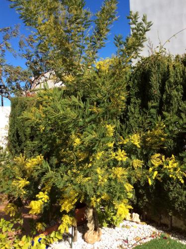 post-3557-0-34158500-1422708334_thumb.jp