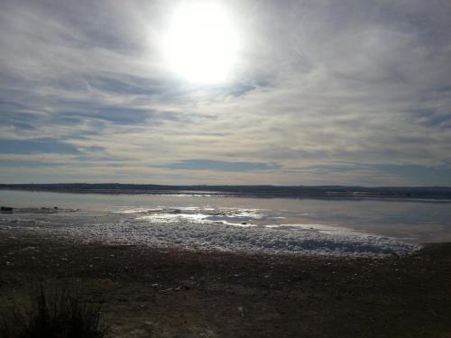 post-8364-0-42427400-1422204501_thumb.jp