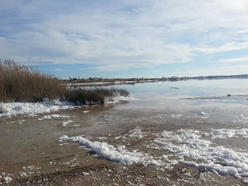 post-8364-0-87697800-1422204459_thumb.jp