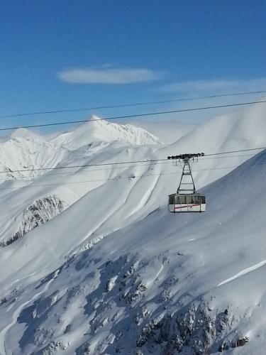 post-1217-0-34158500-1360102816_thumb.jp