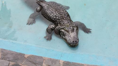 post-1205-0-35917700-1392850032_thumb.jp