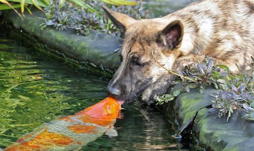 post-1286-0-82650500-1391773985_thumb.jp