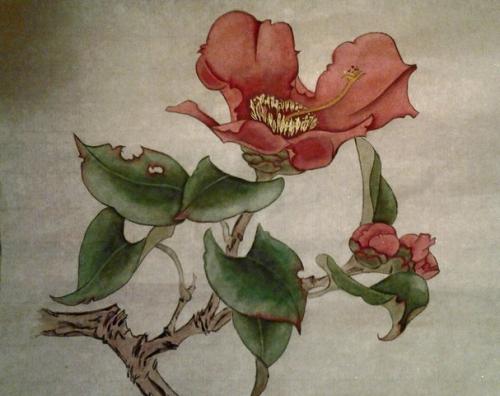 post-2490-0-29985300-1391341248_thumb.jp