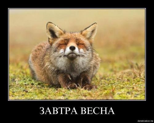 post-2490-0-63763700-1393592965_thumb.jp