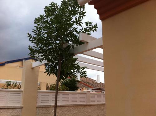 post-2035-0-37284800-1424345749_thumb.jp