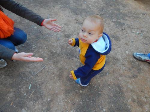 post-2035-0-54501200-1425156226_thumb.jp