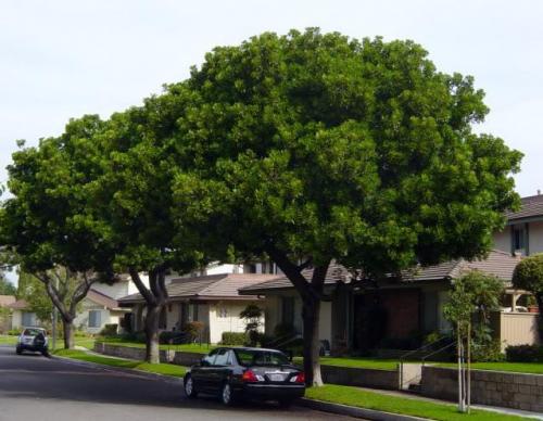 post-2035-0-55691800-1424371194_thumb.jp