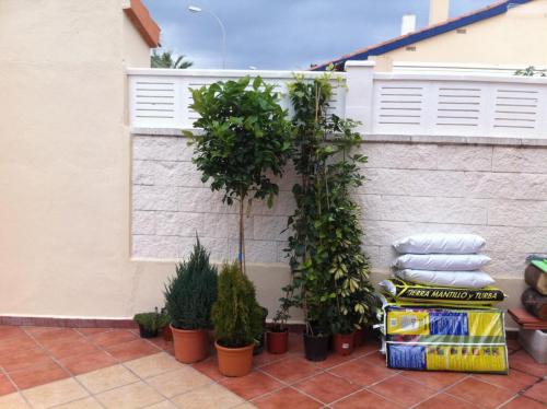 post-2035-0-55780800-1424345687_thumb.jp