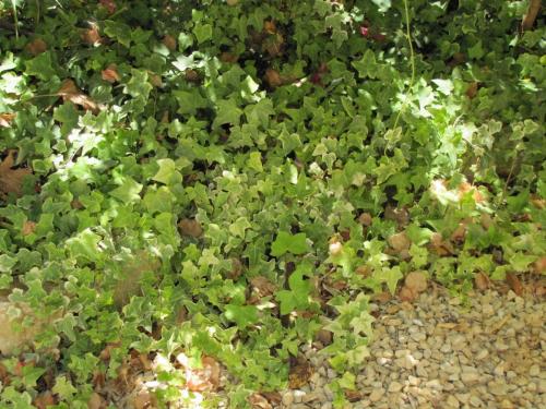 post-5055-0-05105800-1423752386_thumb.jp