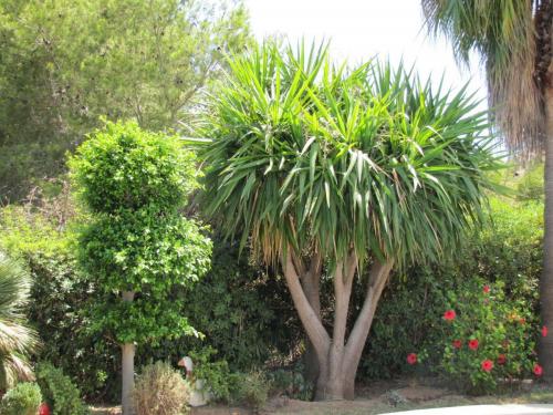 post-5055-0-10724200-1423752415_thumb.jp