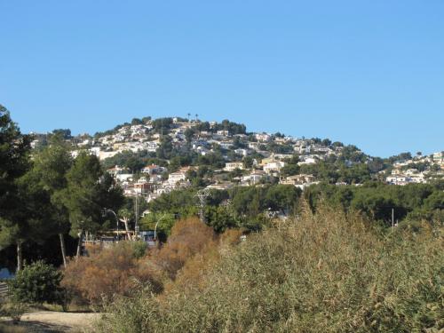 post-5055-0-13125600-1423477104_thumb.jp