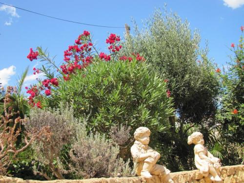 post-5055-0-17326400-1423752440_thumb.jp