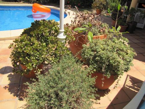 post-5055-0-22391000-1423752243_thumb.jp