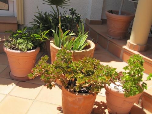 post-5055-0-40954000-1423752221_thumb.jp