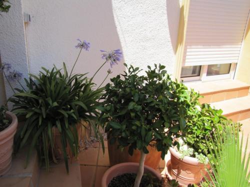 post-5055-0-60313400-1423752203_thumb.jp