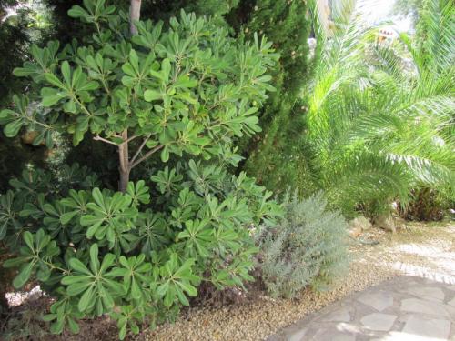 post-5055-0-79804300-1423752266_thumb.jp