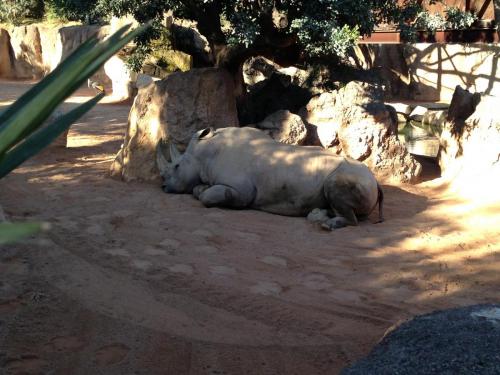 post-1145-0-23549300-1362483550_thumb.jp