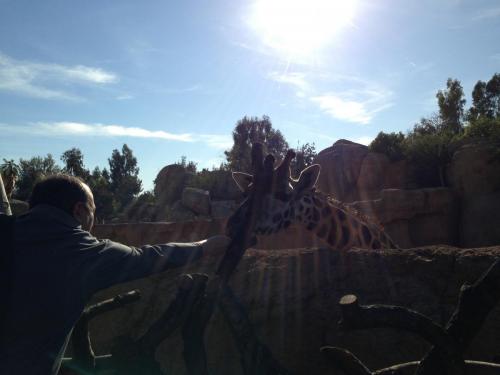 post-1145-0-32320100-1362483532_thumb.jp