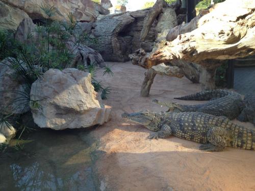 post-1145-0-75288800-1362483528_thumb.jp