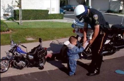 post-1217-0-24602800-1364198423_thumb.jp