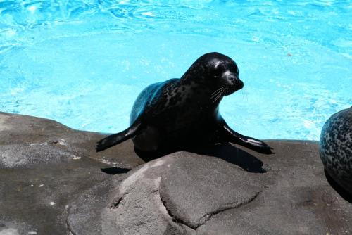 post-1221-0-13956100-1362484396_thumb.jp