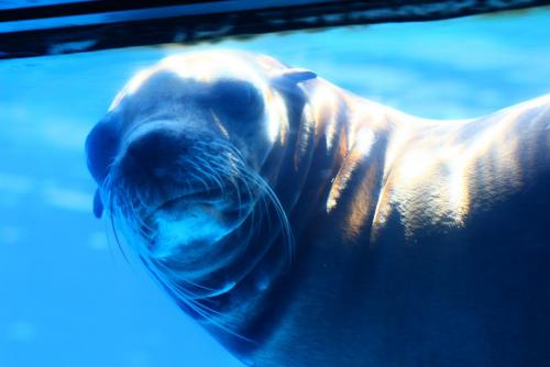 post-1221-0-24277400-1362484313_thumb.jp