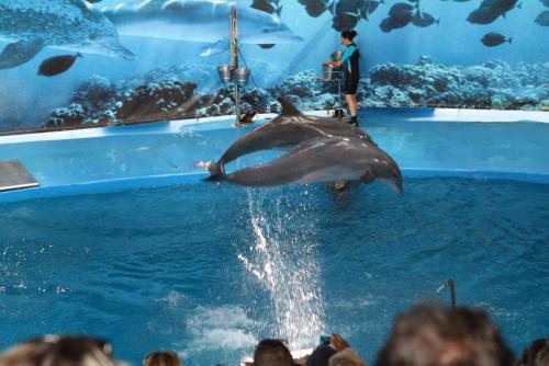 post-1221-0-66798200-1362484270_thumb.jp