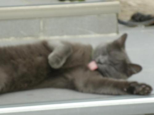 post-1370-0-26803800-1363280831_thumb.jp