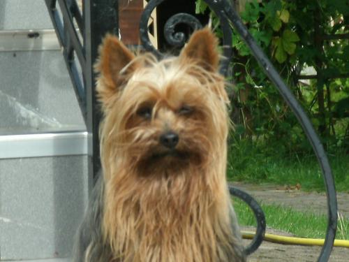 post-1370-0-62567100-1363175397_thumb.jp