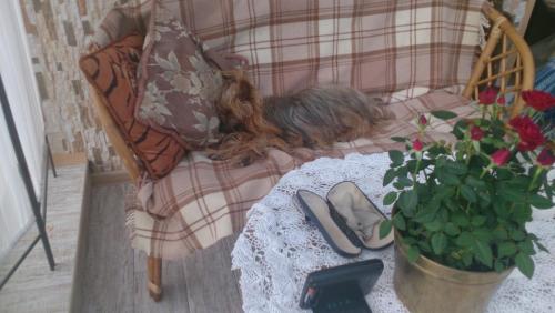 post-1370-0-25043400-1394712292_thumb.jp