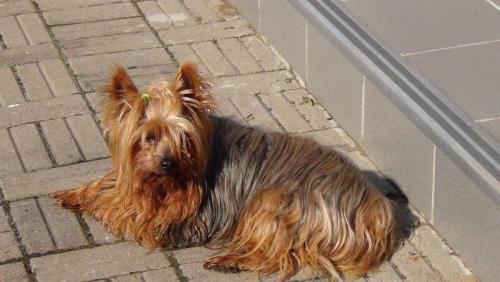 post-1370-0-97022500-1396266106_thumb.jp