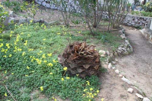 post-1921-0-05811300-1394350777_thumb.jp