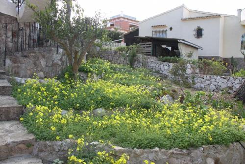 post-1921-0-08439800-1394351066_thumb.jp