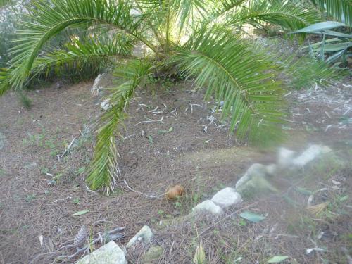 post-1921-0-19938600-1395315689_thumb.jp