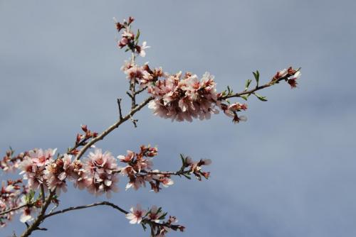 post-1921-0-30928200-1394515553_thumb.jp